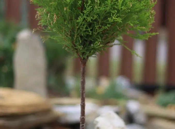 דירה Nyirfa-lak *